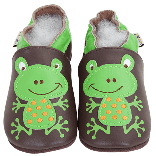 Slippers Frog